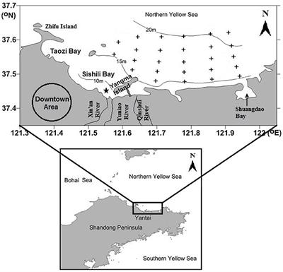 Origin and Dynamics of Dissolved Organic Matter in a Mariculture Area Suffering From Summertime Hypoxia and Acidification